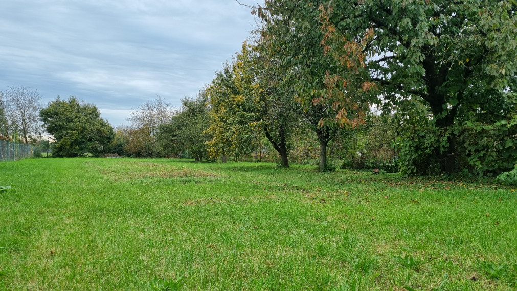 MICHALOVCE - SAMOSTATNE STOJACI 6i RD - PODPIVNIČENÝ - POZEMOK 1824M2