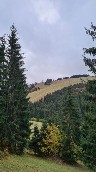 STAVEBNÝ POZEMOK - KÚSOK OD LYŽIARSKEHO STREDISKA MALINÔ BRDO - S VÝMEROU 1250M2