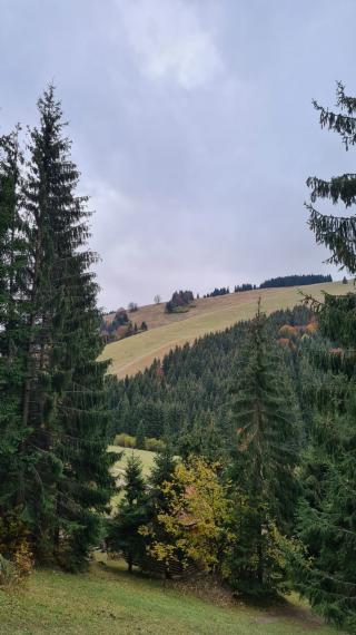 STAVEBNÝ POZEMOK - KÚSOK OD LYŽIARSKEHO STREDISKA MALINÔ BRDO - S VÝMEROU 1250M2