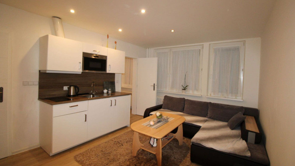 DONNEROVA ul. - V BLÍZKOSTI LÍŠČIEHO ÚDOLIA - 1,5i BYT S PIVNICOU