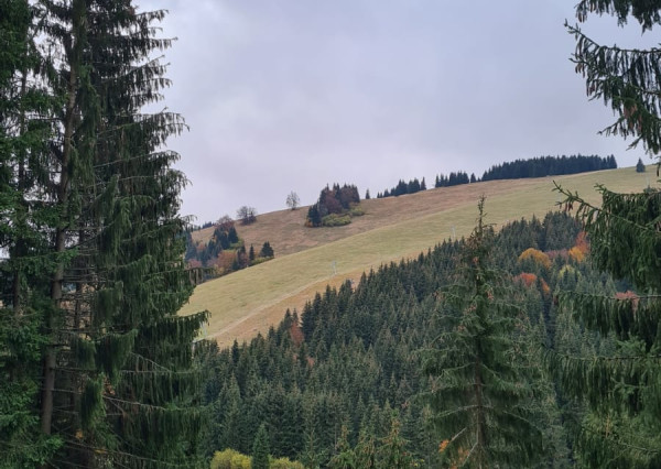STAVEBNÝ POZEMOK - KÚSOK OD LYŽIARSKEHO STREDISKA MALINÔ BRDO - S VÝMEROU 1250M2